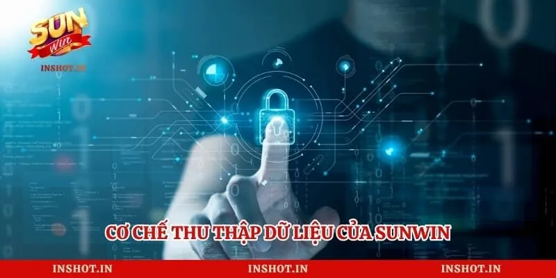 Cơ chế thu thập dữ liệu của Sunwin